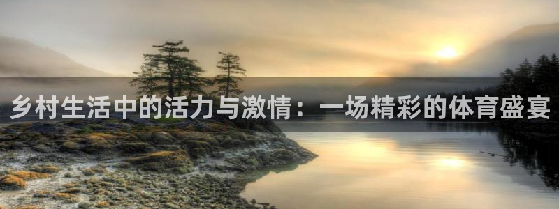领航国际体育注册