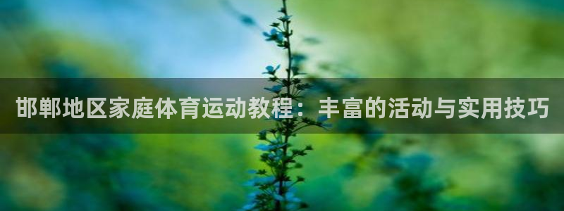 领航国际4注册