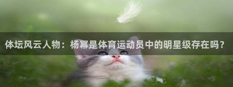 领航国际体育老板是谁