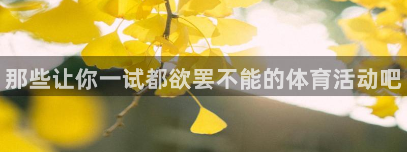 领航国际体育app下载
