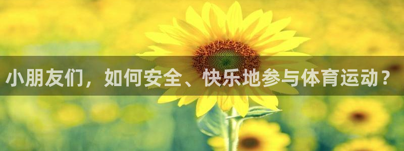 领航国际代理注册官网入口