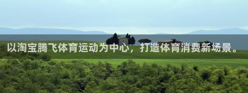 领航国际平台开户链接