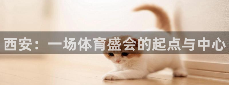领航国际体育官网