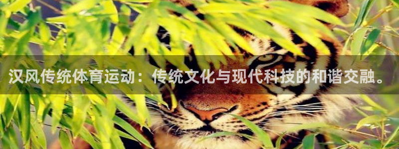 意昂5招商