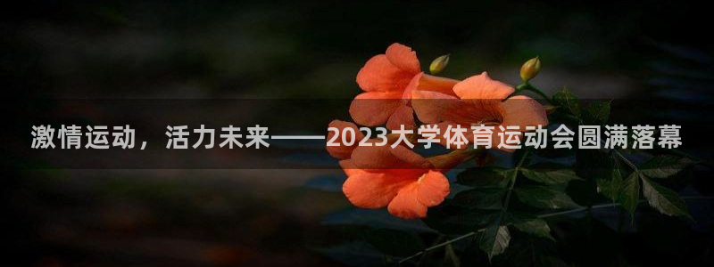 领航国际体育注册