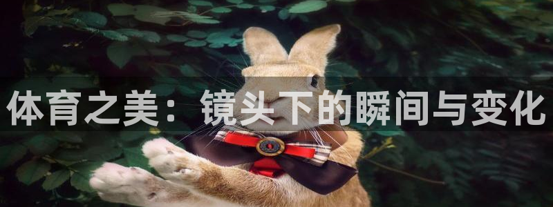 领航国际集团
