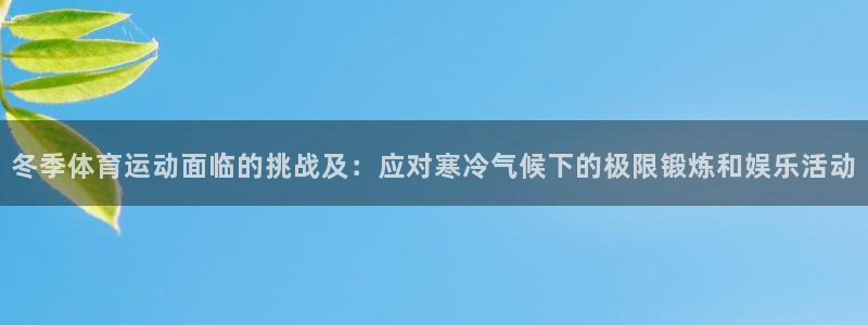 领航国际体育3