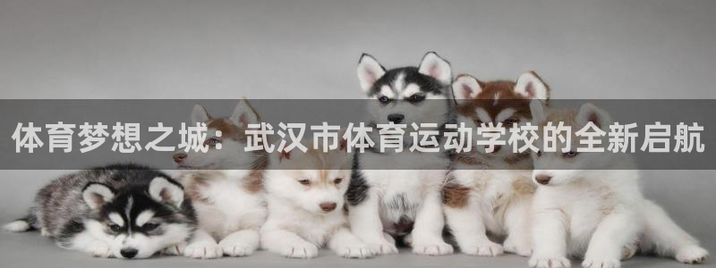 意昂3官网登录