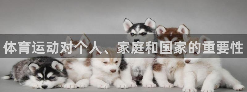领航国际2登录地址