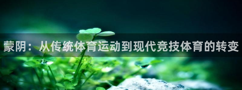 领航国际体育凯捷登陆