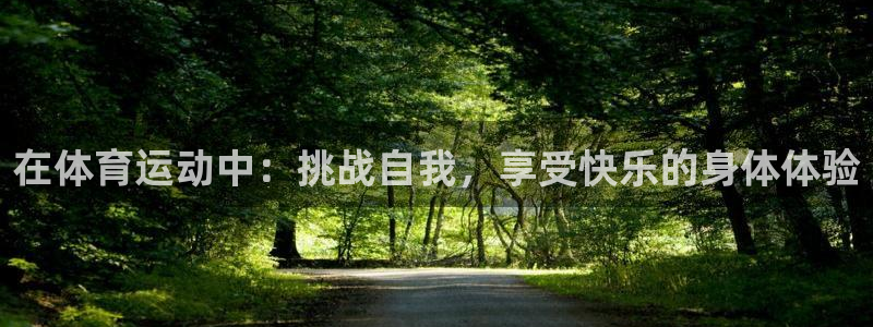 领航国际体育3