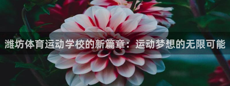 意昂注册