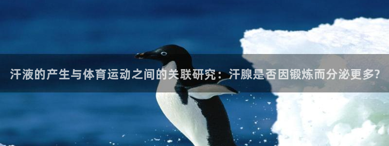 领航国际2注册