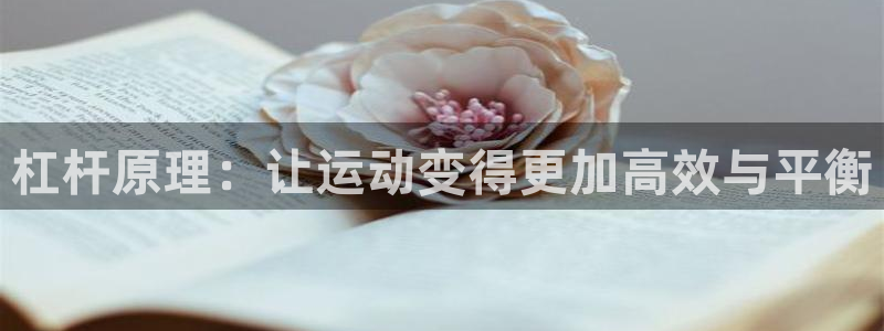 领航国际体育平台开号链接