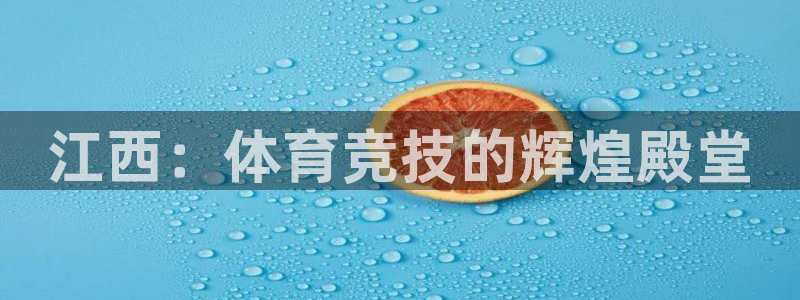 领航国际4平台注册