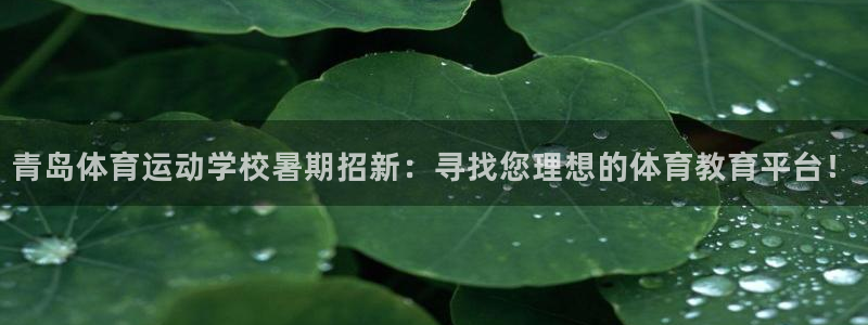 意昂官网
