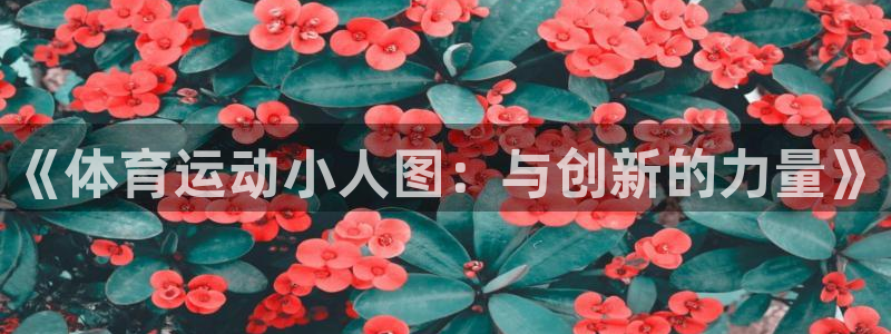 领航国际4开户