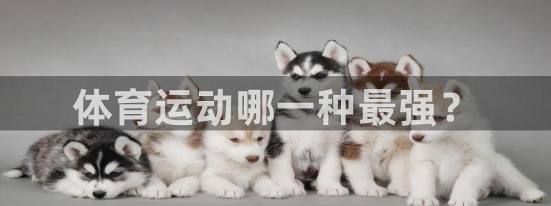 领航国际4开户