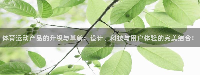 意昂体育4