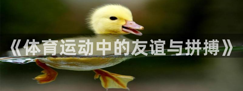 领航国际体育在线注册